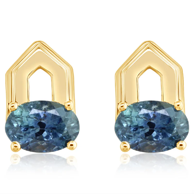Sparkle For Less – Shop Jewelry Deals Now 14K Yellow Gold Montana Sapphire Earrings