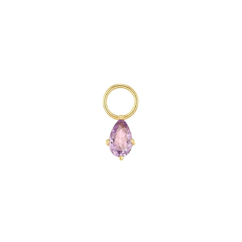 Exclusive Jewelry Sale Event – Shop Now Amethyst Pear Shaped Hoop Charm