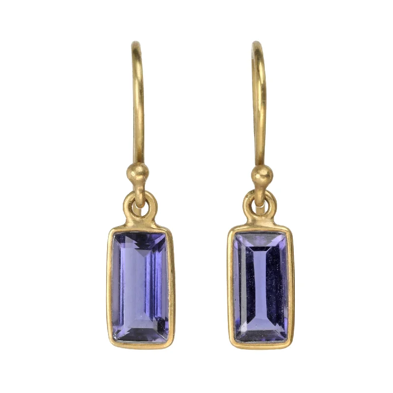 Shop Dazzling Jewelry With Special Promotional Discounts Extra Small Bezel-Set Iolite Baguette Earrings